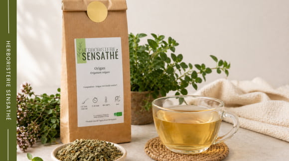 Tisane d'origan contre les voies respiratoires avec de l'origan séché - Herboristerie Sensathé